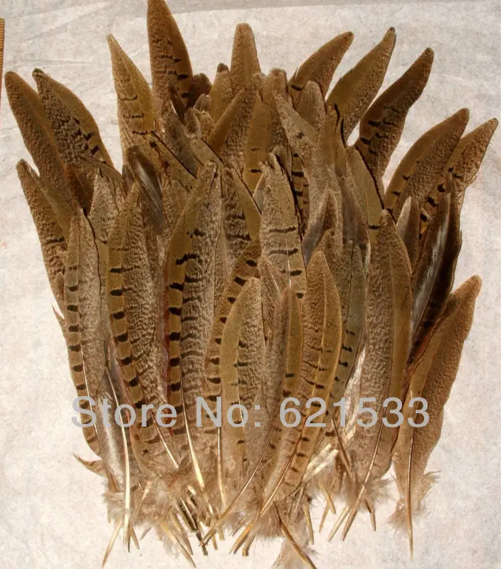 100 шт./лот красивые перья из хвоста фазана 6-8 дюймов хвосты для украшения | Дом и