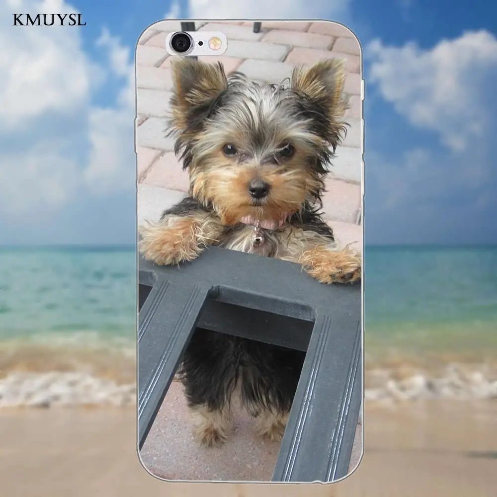 as picture Kmuysl Йоркширский терьер Йоркширский Собака Щенок для iPhone 4 4S 5 5C SE 6 6 S 7 8 Plus X Galaxy S5 S6 S7 S8 Grand Core II Prime Alpha - Цвет: as picture