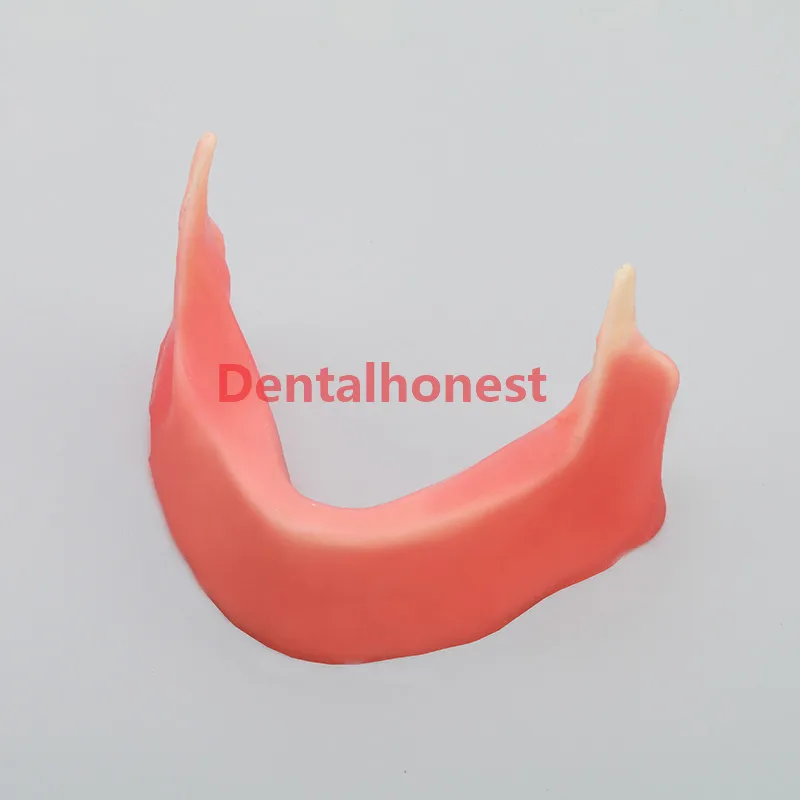 Mandibular модель челюсти с силиконовым конусом для прорезания растений sture M2027 |