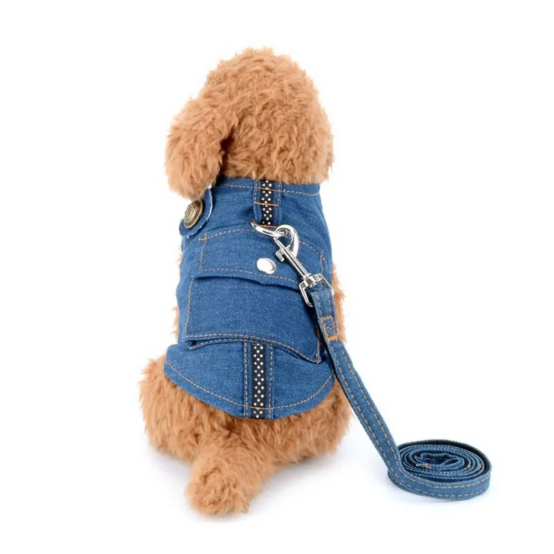 Жилетка и поводок для маленьких собак регулируемый из денима Размеры S M L