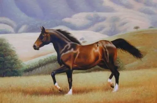 

Высокое Качество ручная роспись маслом животных на холсте: "Лошадь" 24 "X36"
