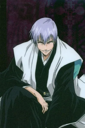 

Bleach Ichimaru Gin Cosplay Wig Free Shipping for Halloween and Christmas