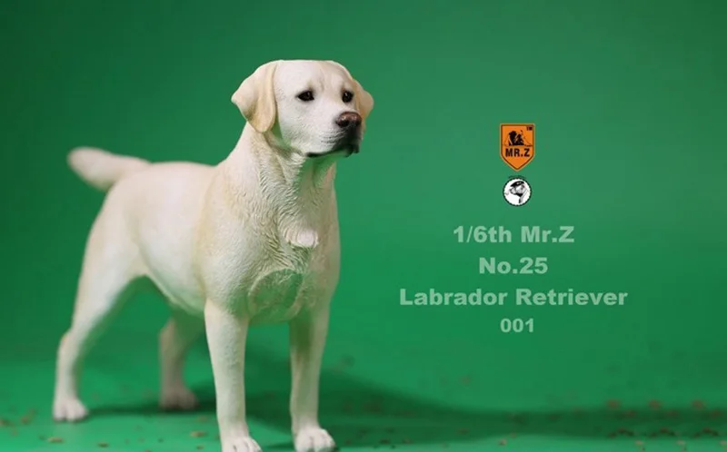 MRZ025 1/6 Масштаб модели животных сцена acc 4 вида цветов Mr. z № 25 ретривера Лабрадора собачьи игрушки модели 001/002/003/004 для коллекции