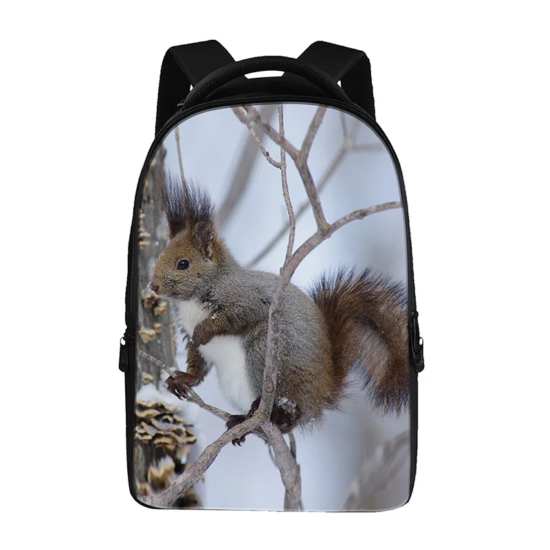 Рюкзаки для подростков с принтом белки модные школьные ранцы начальной школы
