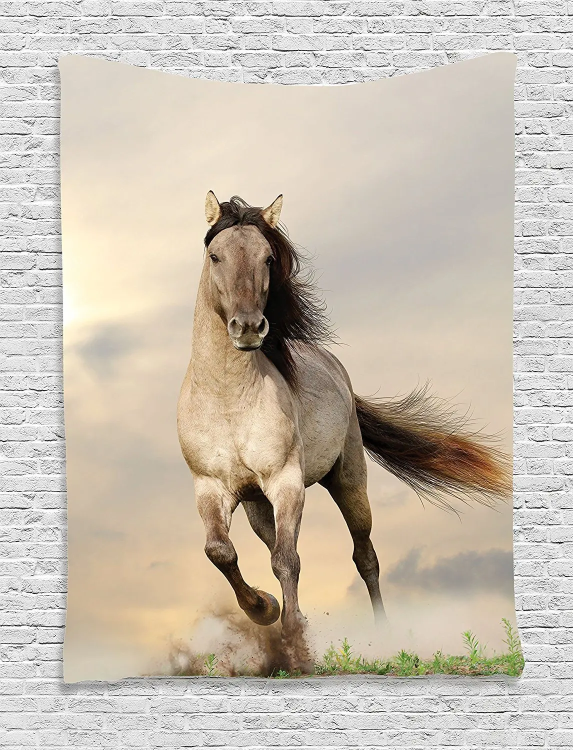 Животные Декор дикий молодой жеребец лошадь бег на закате мужская сила НАКЕ