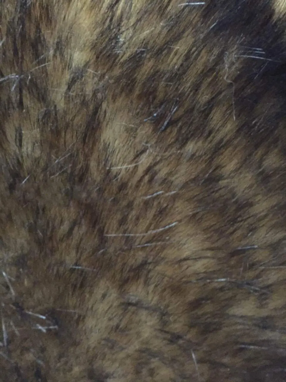 Прямые поставки с фабрики черный Жаккардовый воротник из плюша верблюжьего