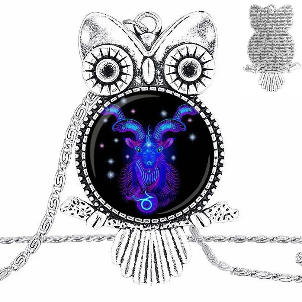 EJ Glaze For Girls Statement Maxi 12 Constellation Leo Virgo Glass Cabochon Pendant Necklace Owl Fashion | Украшения и аксессуары