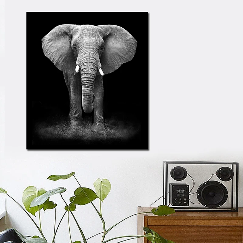 Современный черный белый слон фотография Бесплатная доставка Декор для дома