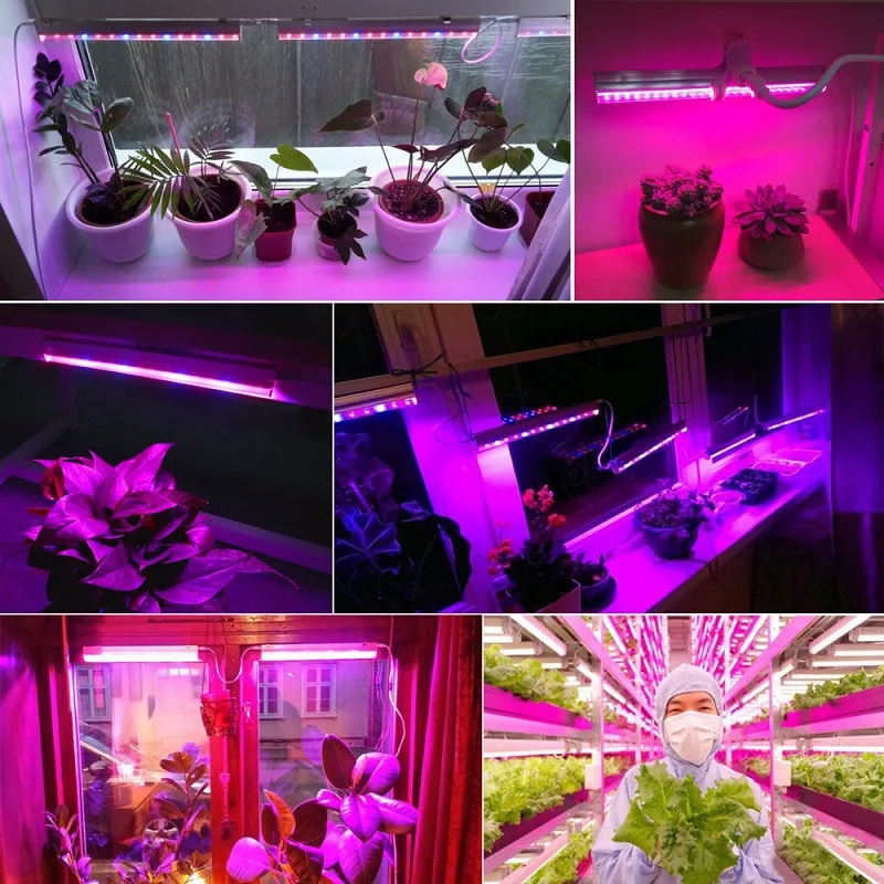 Полный спектр Led Grow Light T5 Tube 85 265V 30 см 15SMD 5733 штепсельная Вилка для роста растений