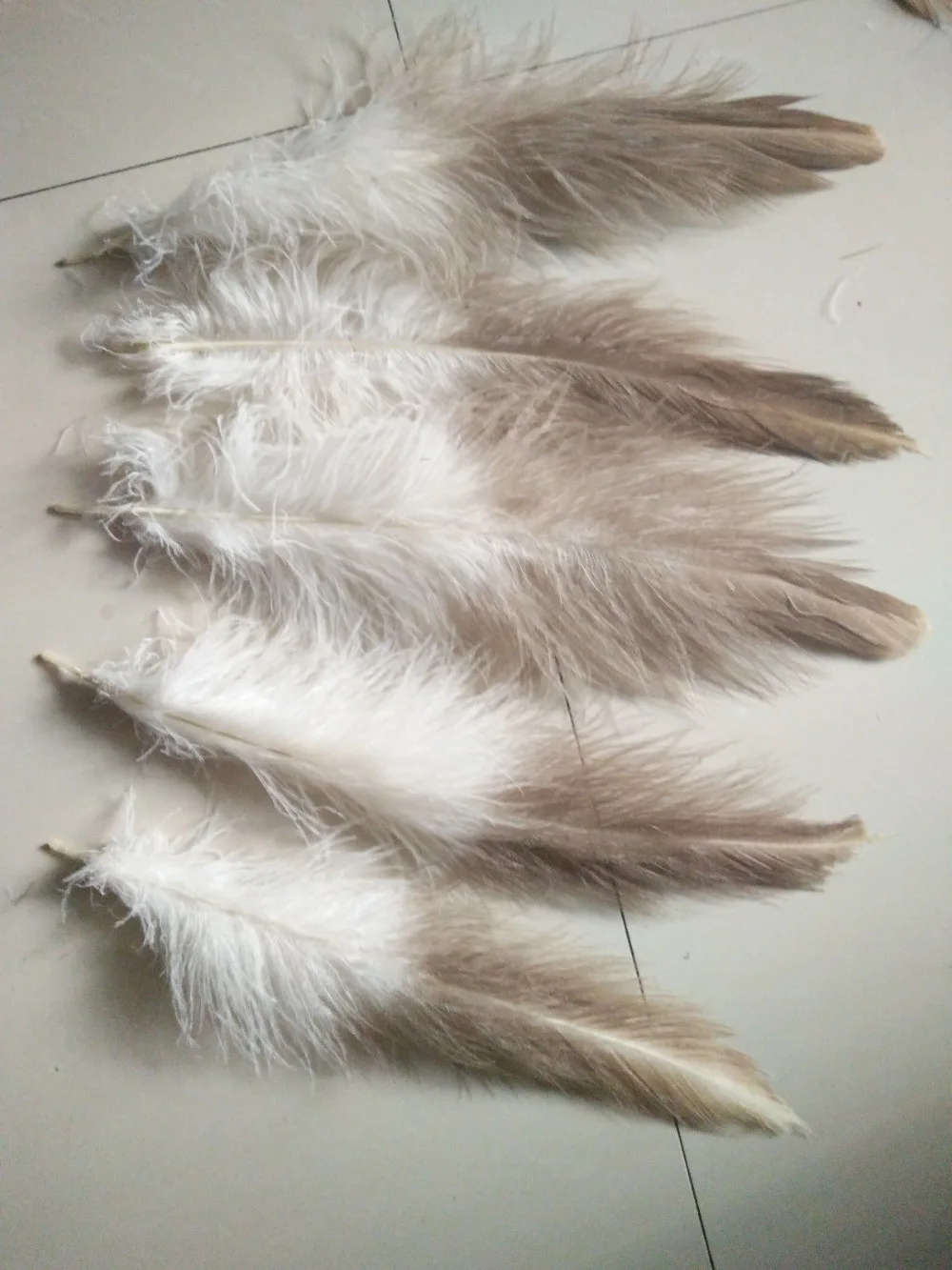 Оптовая продажа 10 шт. высокое качество натуральный золотой Орел бархатные перья 8