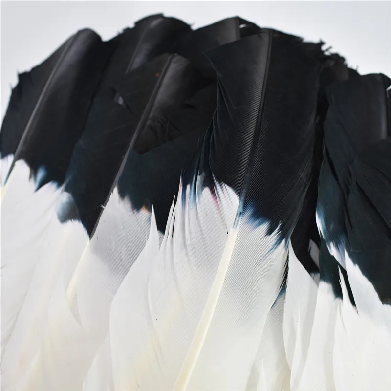 

wholesale 50-100PcsDyed Turkey Wing Quill Feather 25-30cm diy feathers for crafts White Black feathers for jewelry making plumas