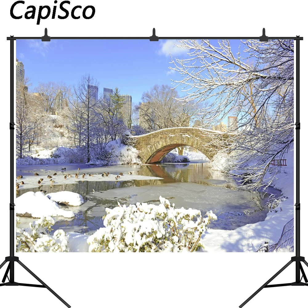 

Capisco photography backdrop Snow Manhattan central park Christmas background for photo studio new design camera fotografica