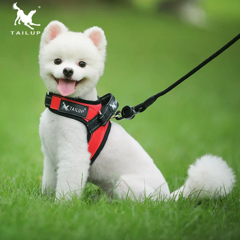 

TAILUP ошейник для домашних животных K9 мягкий Экстра Маленький Светоотражающий ошейник для собак на липучке