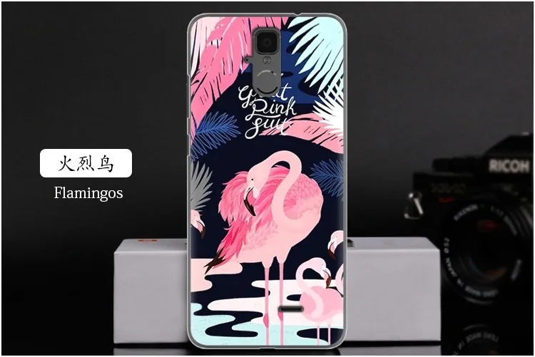 Чехол для телефона Hisense F24/Infinity H11 Lite, модный дизайн, цветная Раскрашенная задняя крышка, мягкий чехол для телефона, ТПУ силиконовый чехол