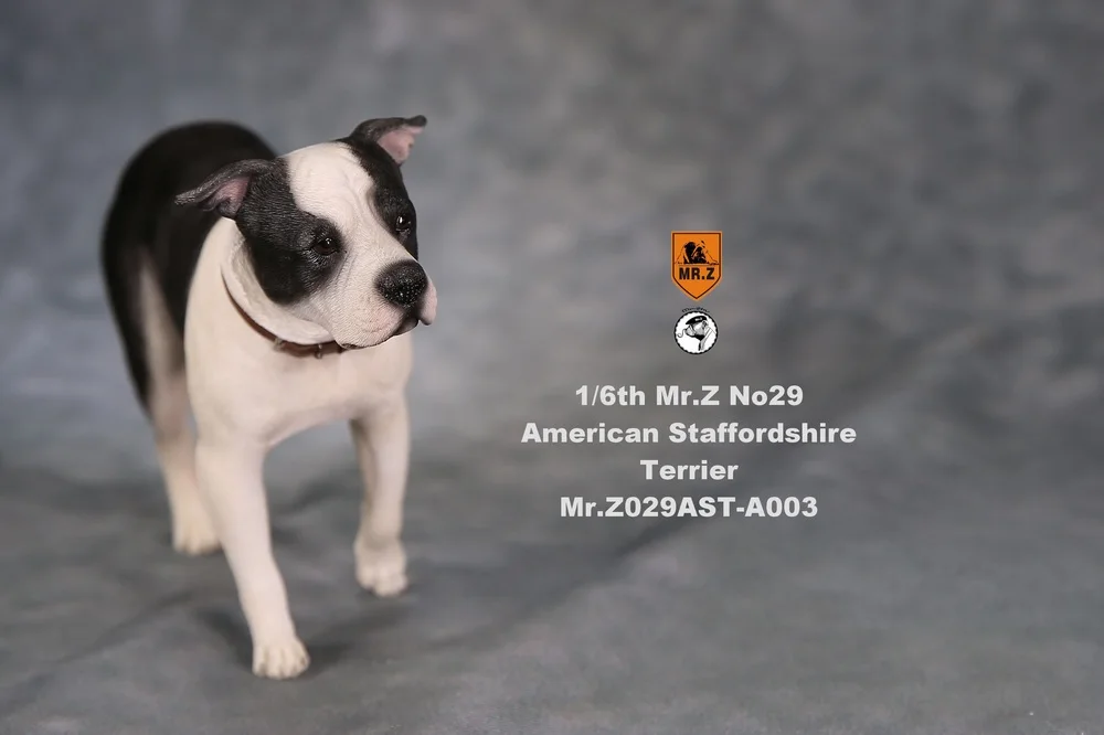 A003 1/6 Коллекционная Фигурка сцены аксессуары Mr. Z Real Animal NO. 29 американский стаффордширский терьер осанка с обменяемой головой - Цвет: A003