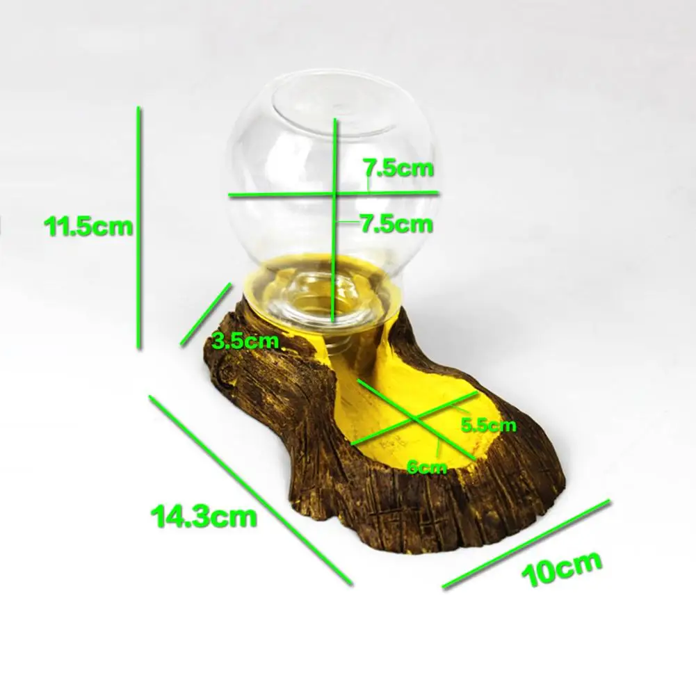 Автоматическая поилка для рептилий и земноводных раковин чаша ящерицы питьевой