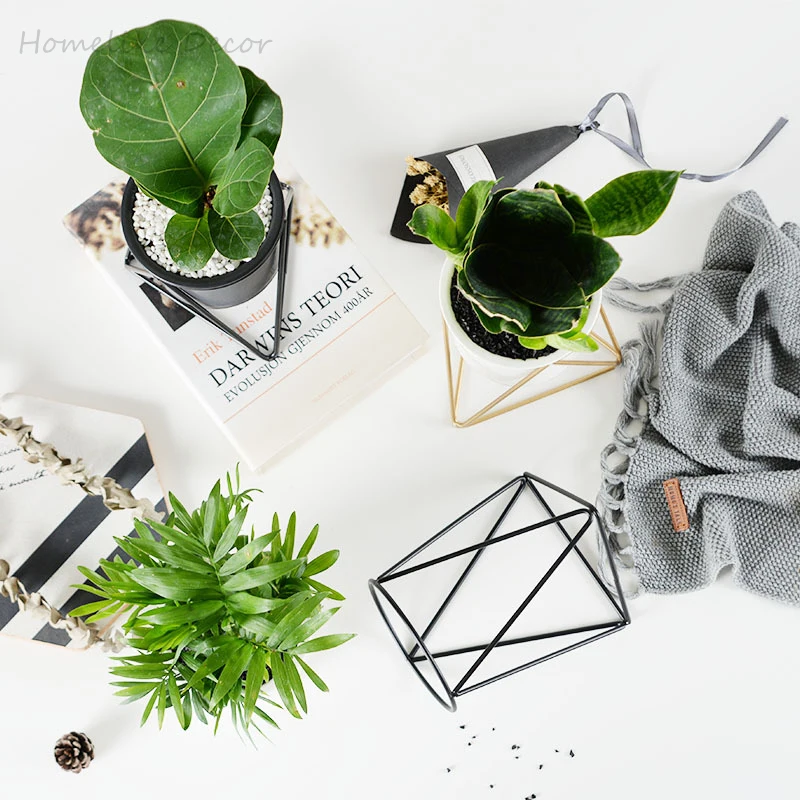 1 шт. современный цветочный горшок для суккулентных растений с черным золотым