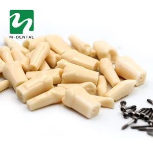 Модель зубьев из смолы для обучения искусственным упражнениям, 28 шт.