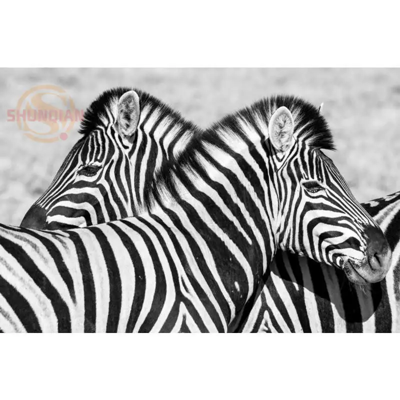 Новинка Обувь для прогулок на постер с зеброй из сатина печати плакатов ткань