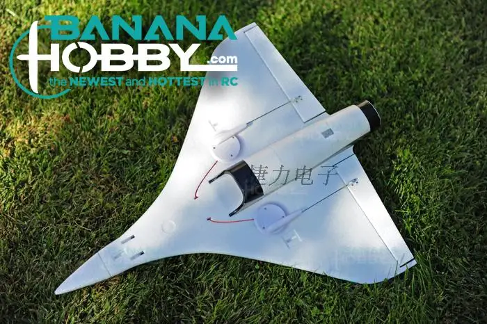 Мини Blackbirds Delta Wing 50 мм Электрический радиоуправляемый самолет игрушечный хобби EPO