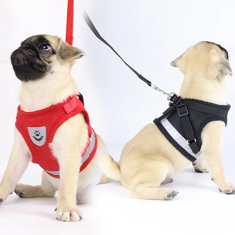 Дышащая шлейка для собак и кошек светоотражающая жилетка с поводком маленьких