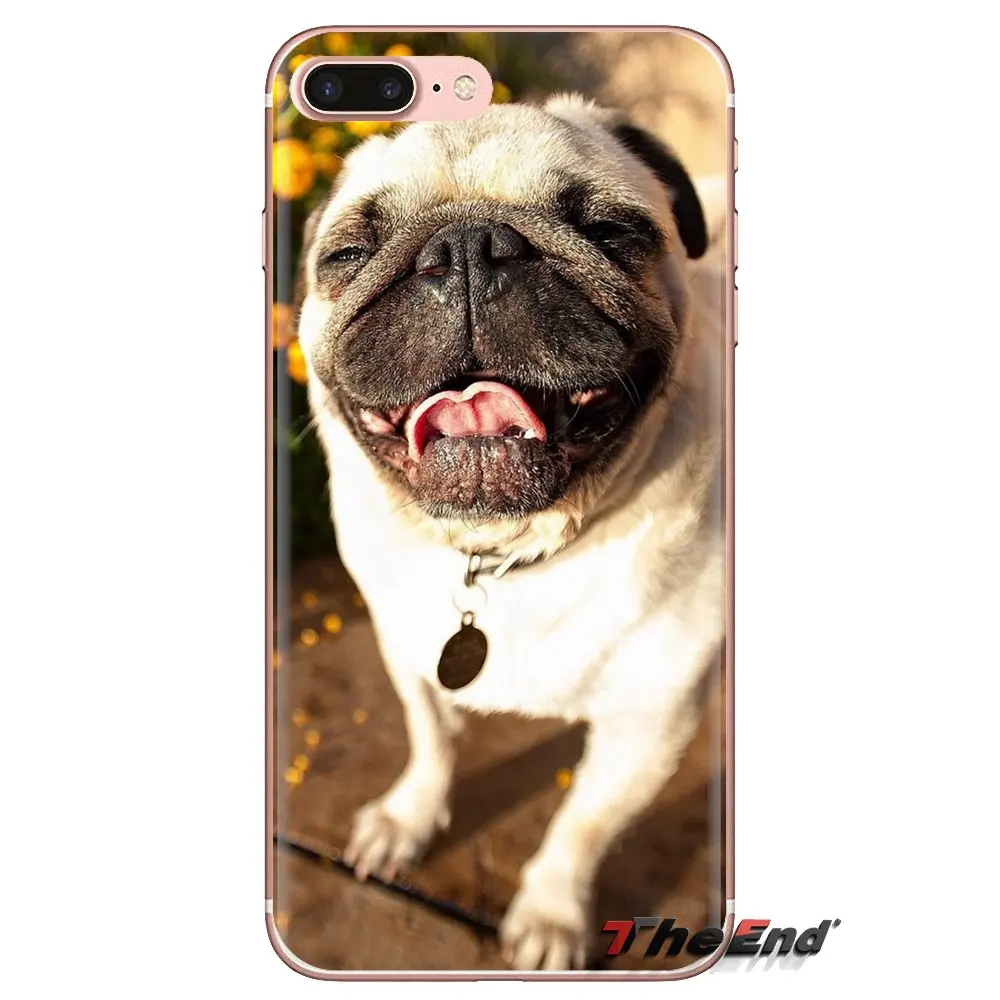 Soft Transparent Cases Covers funny Pug dog For Samsung Galaxy J1 J2 J3 J4 J5 J6 J7 J8 Plus 2018 Prime 2015 2016 2017 |