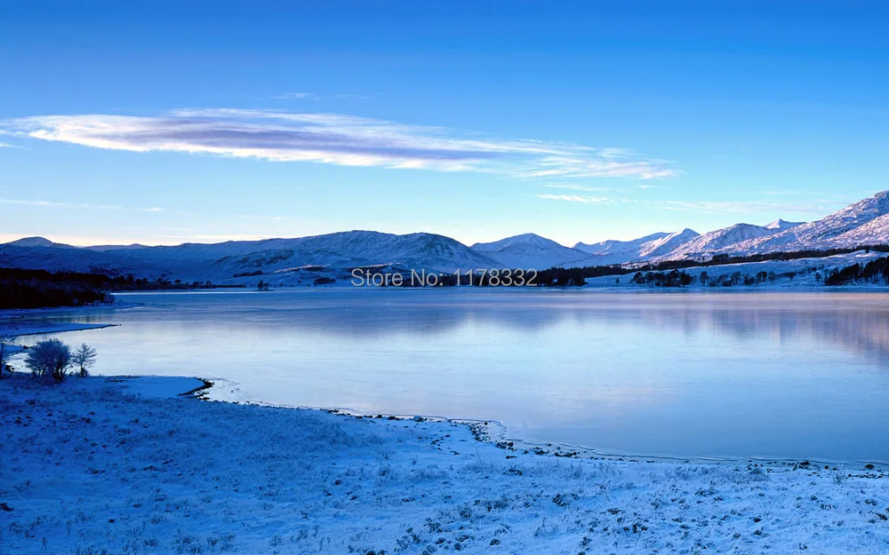 Бесплатная доставка + номер отслеживания для цифровой камеры 52 мм бленда