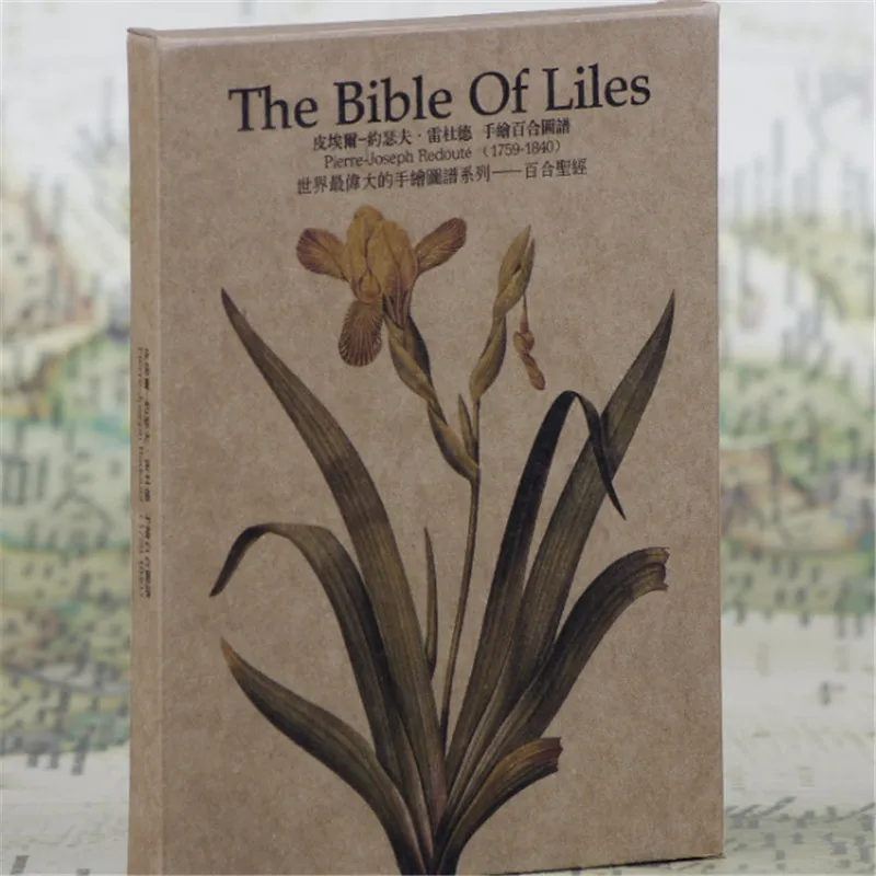 

60pcs"Pierre-Joseph Redoute-Lily Bible greeting card set"vingate kraft paper postcards/gift birthday post cards/commemorate card