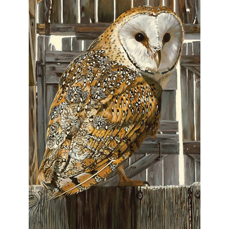 

YIKEE diamond painting Owl,diamond mosaic,diamond embroidery K812