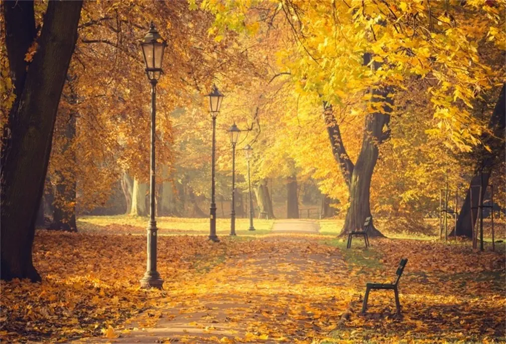 Фон для фотосъемки скамейка в осеннем парке желтые листья дорога свет природа