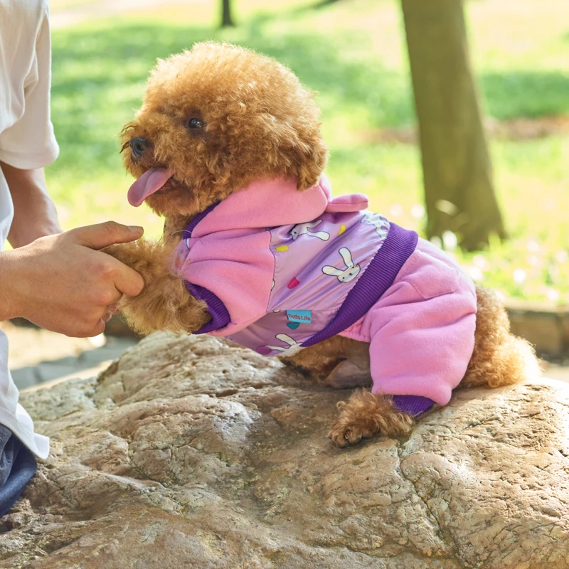 DOGGYSTYLE зимняя одежда для собак, теплое пальто для щенков, стеганая куртка с капюшоном, Комбинезоны для маленьких собак, чихуахуа, костюмы Тедди