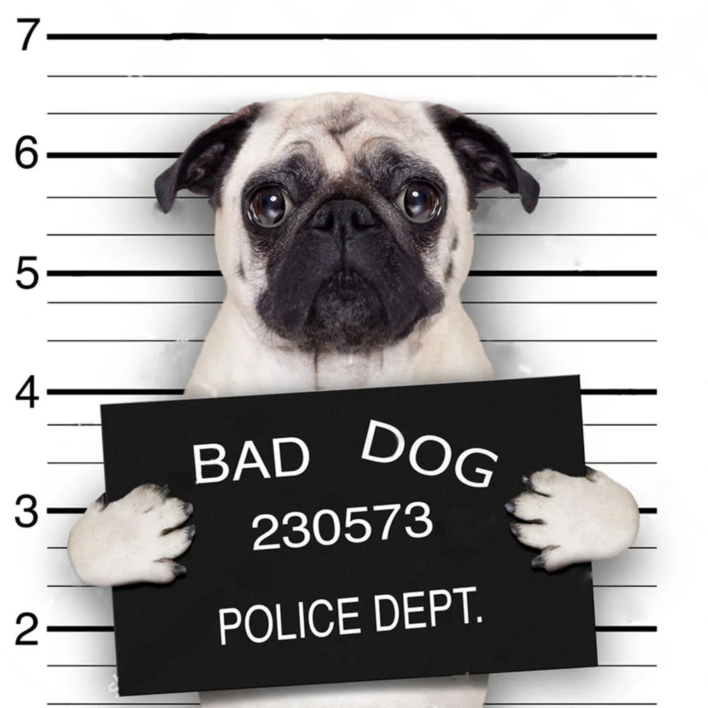 5D DIY Алмазная картина животное тигр вышивка крестом цветок мозаика домашнее