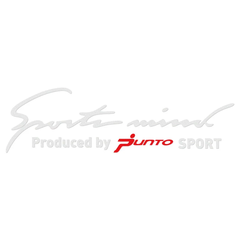 

10 Pieces Customization PUNTO Sport Car Covers Car Stickers Decal Car Styling For FIAT PUNTO grande punto car accessories