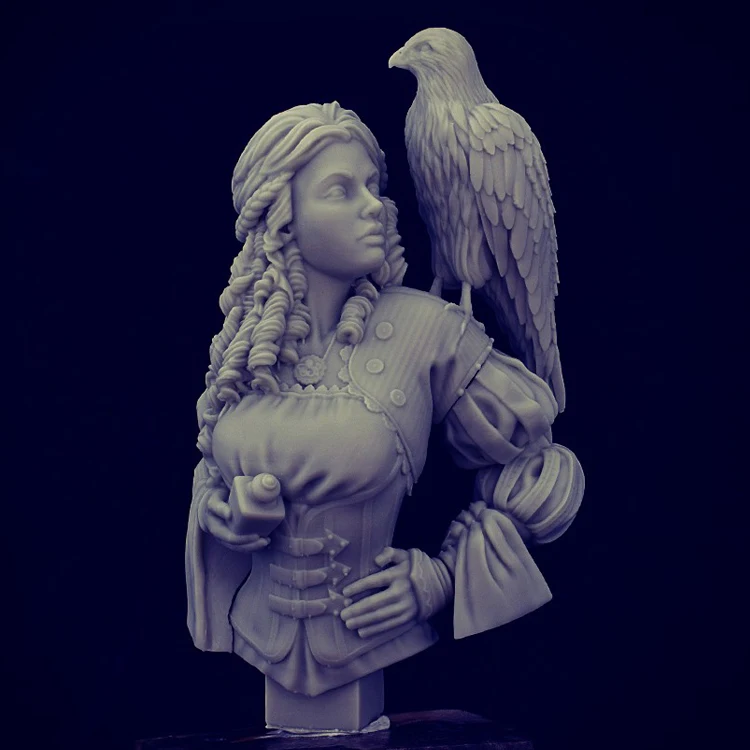 1/12 сборный комплект бюста из смолы Eagle Girl | Игрушки и хобби