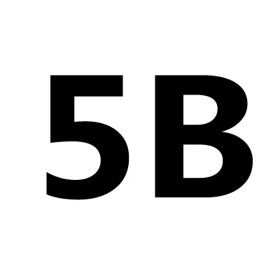 5B 500 шт. B/2B/3B/4B/5B/6B свинцовые весы съемные круглые свинцовые раскол комплект грузил Открытый чистый свинец Вес рыбы снасти бобы грузило - Цвет: 5B