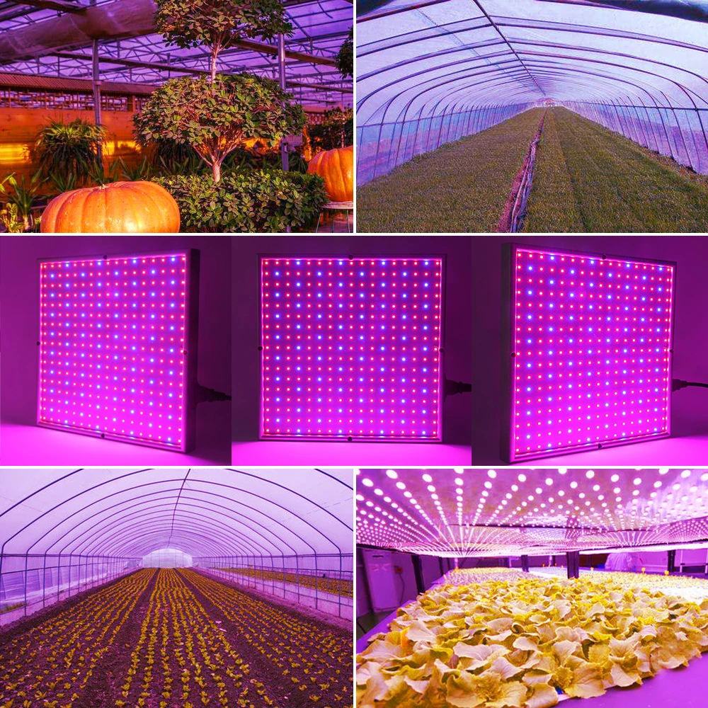 289 светодиодный Grow светильник Phytolamp красные синие полный спектр рост лампы для