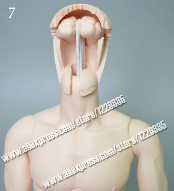 Базовые знания о сборке кукол BJD не покупайте | Игрушки и хобби