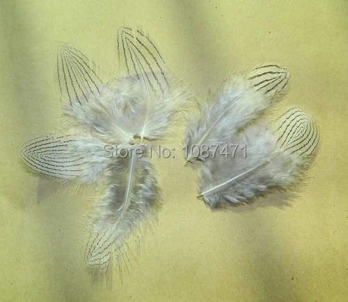 50 шт 7-12 см настоящий натуральный белый цвет серебряное оперение фазана перо для