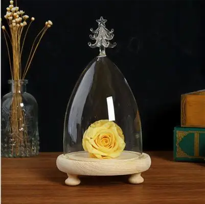 1set tree dome Диаметр = 10 см стеклянная купольная ваза с деревянной основой для украшения дома различные верхние стеклянные купольные друзья Подарочное свадебное украшение - Цвет: 1set tree dome