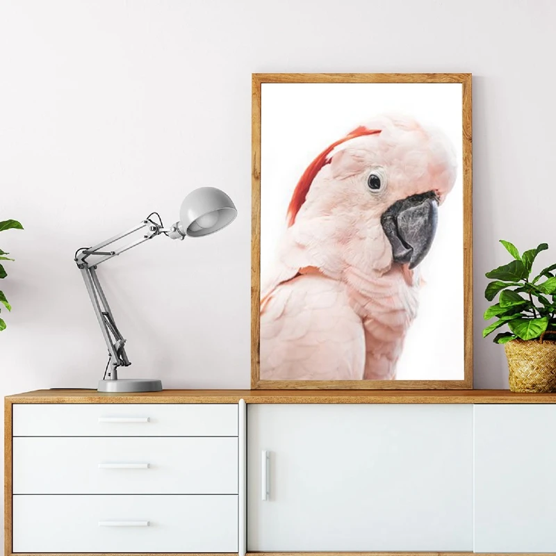 

Pink Cockatoo Australian Bird Print Tropical Large Animal Poster Canvas Painting Cockatoo Photography Picture Home Wall Decor