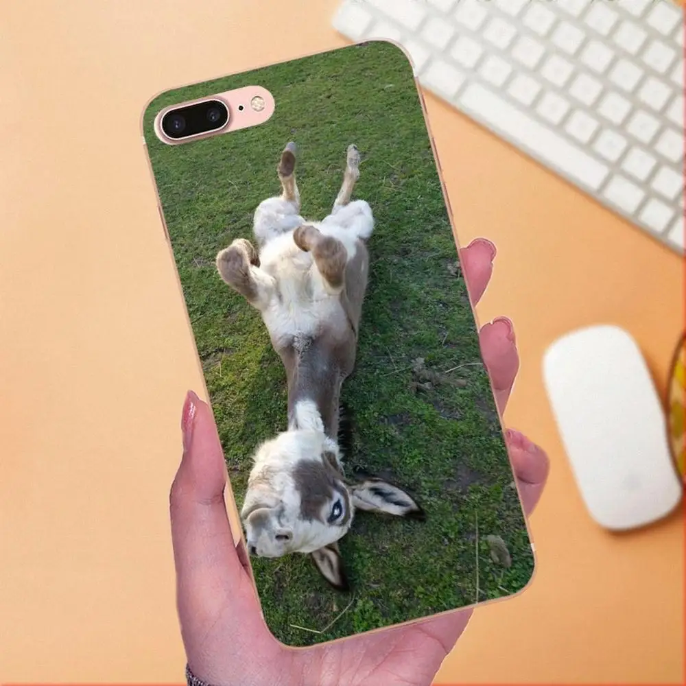 Новый стиль большая задница длинные уши Милый Ослик для Galaxy A3 A5 A7 On5 On7 2015 2016 2017 Grand Alpha G850 Core2 Prime S2 I9082 on.