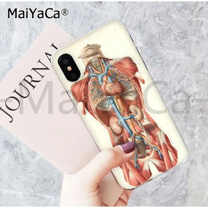 MaiYaCa, медицинский, человеческий, головной, меридиан, почка, искусство, Модный чехол для телефона, для iphone 11 pro 8 7 66S Plus X 5S SE XR XS MAX - Цвет: 17