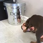 Съемный знак для хранения корма для собак, наклейка для организации кладовой