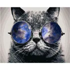 Картина по номерам сделай сам, Прямая поставка, 40x50, 50x65 см, классные очки с очками, животные, холст, свадебное украшение, искусство, картина, подарок