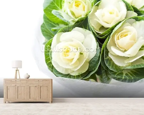 Пользовательские обои Капустные цветы ретро фрески для гостиной спальни диван