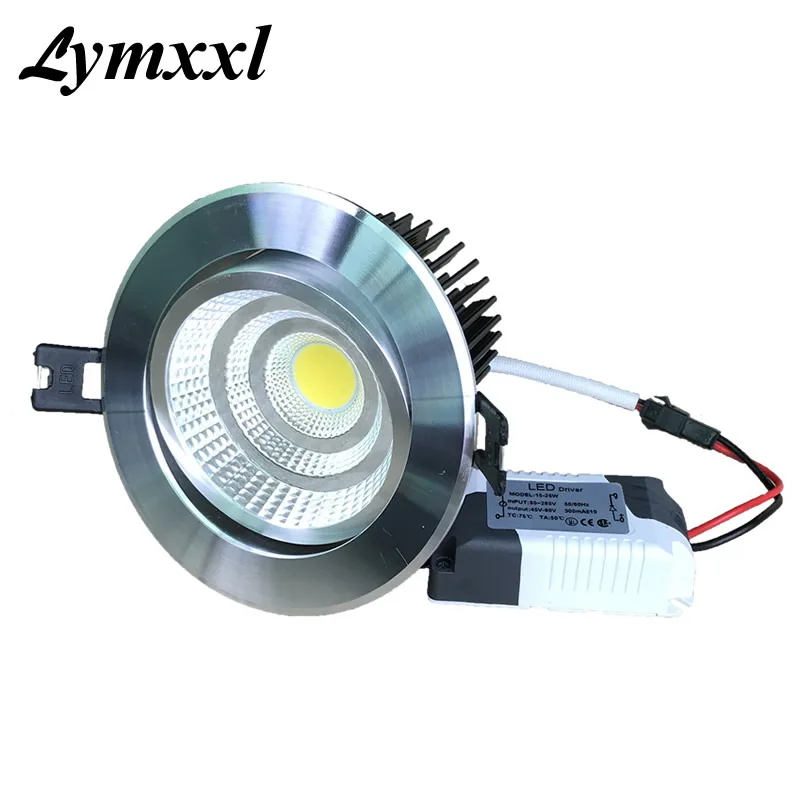 15 Вт 18 светодиодные потолочные светильники с серебряным корпусом натуральный