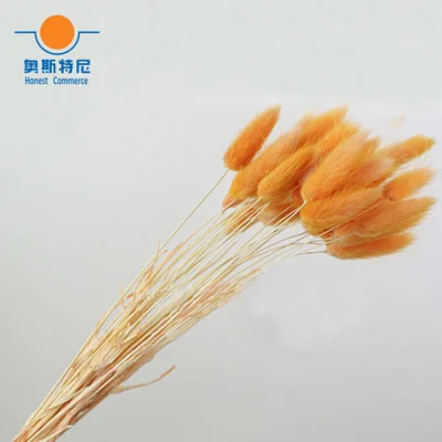 orange color 50 шт. сушеные натуральные Цветочные букеты фиолетового цвета lagunus ovatus букеты& Uraria picta& rabbit tail трава Цветочные букеты грозди - Цвет: orange color