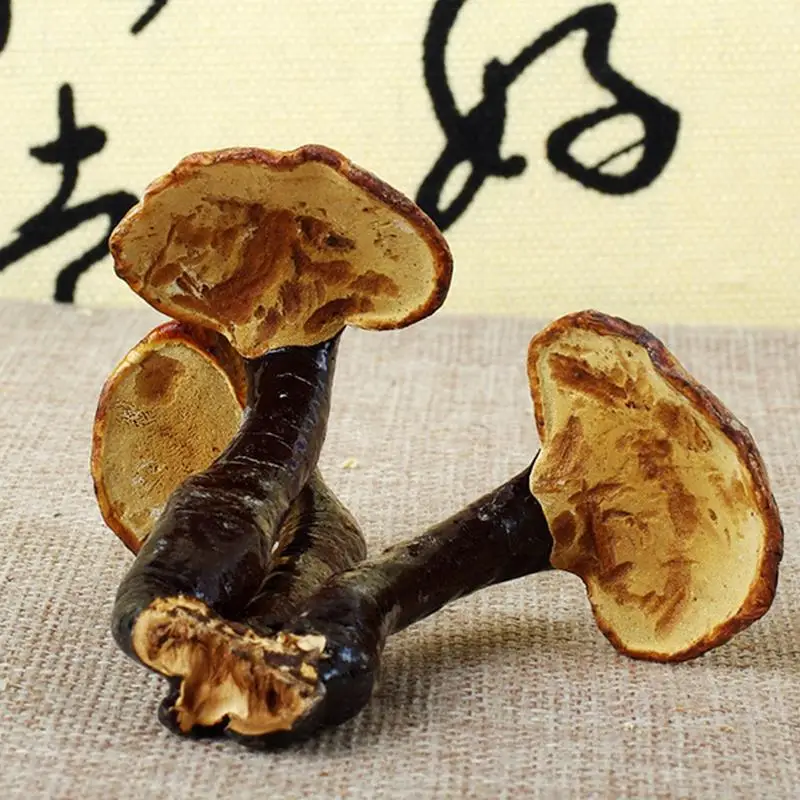 1000g Ganoderma Lucidum Dried Wild Red Lingzhi Reishi Mushrooms Chinese Natural Anti-cancer Health Care Medicine Herbal H2019-45 |