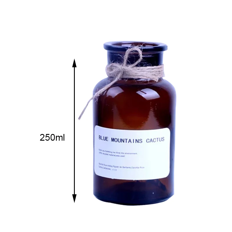 250ml Brown Скандинавская стеклянная Цветочная композиция для вазы, гидропонная Настольная Ваза, украшение дома, Цветочная ваза для цветочного украшения - Цвет: 250ml Brown