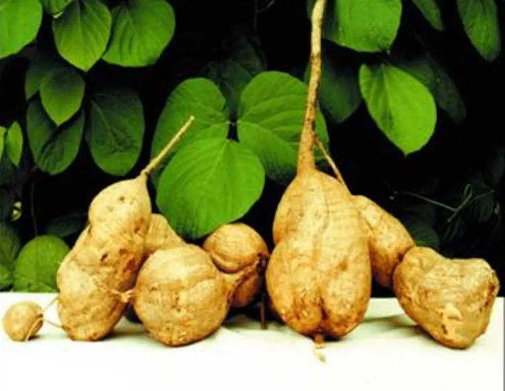 Травяной Женский интимный Сменный колпачок гормон оэстроген увеличение груди